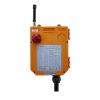 ریموت كنترل 6 کلید تک سرعت تله کرین F24-6S